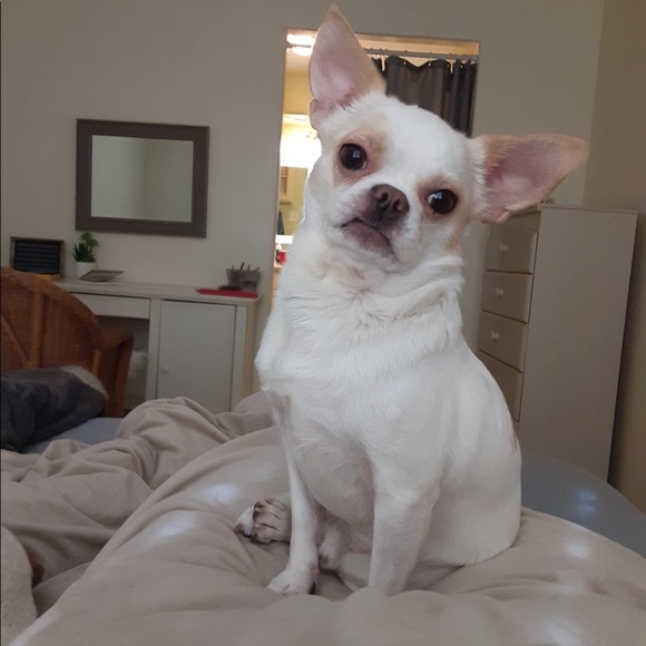 Meet your Posher, Jamie - Picture 10 of 14